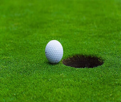 mini golf course artificial turf putting