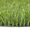 Germany Artificial Grass Samples1
