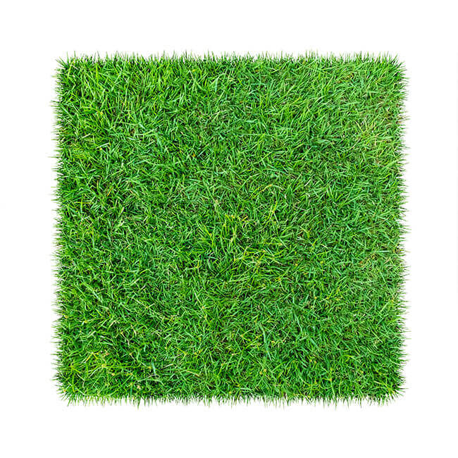 Green artificial grass samples