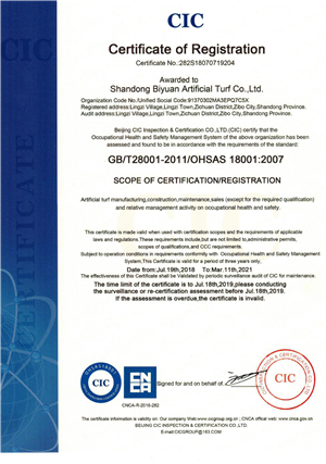 OHSAS CERTIFICATION FOR ARTIFICIAL GRASS