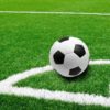 Soccer artificial grass application