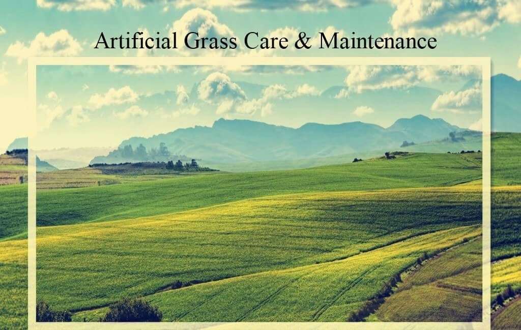 This is a beautiful artificial grass place that in a nature