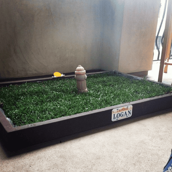 Pet Turf 10 Dog potty turf with a toy fire hydrant in a framed grass patch