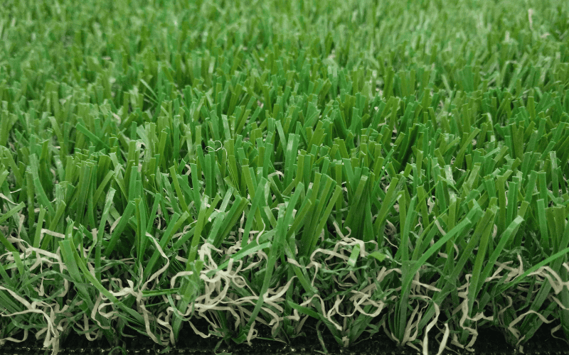Frond Yard Backyard 1 JC-B2590PX artificial grass for front yard and backyard
