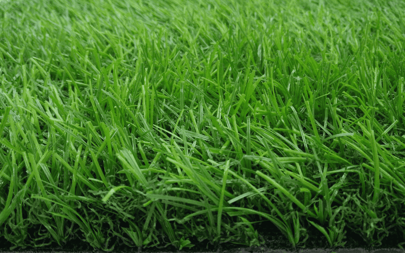 Frond Yard Backyard 2 JC-B3070CX artificial grass for front yard and backyard