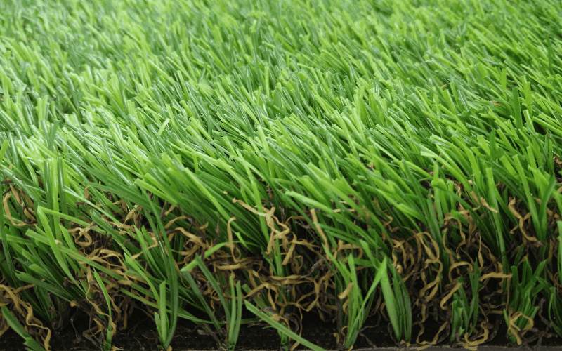 Frond Yard Backyard 4 JC-B35126CX artificial grass for front yard and backyard