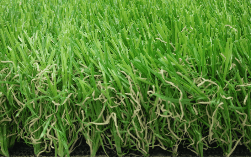 Frond Yard Backyard 5 JC-B3878PX artificial grass for front yard and backyard