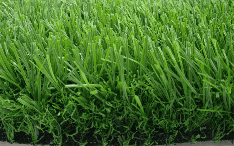 Frond Yard Backyard 6 JC-B40106IX artificial grass for front yard and backyard