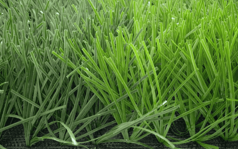 Cricket 1 JC-CT3880L cricket turf