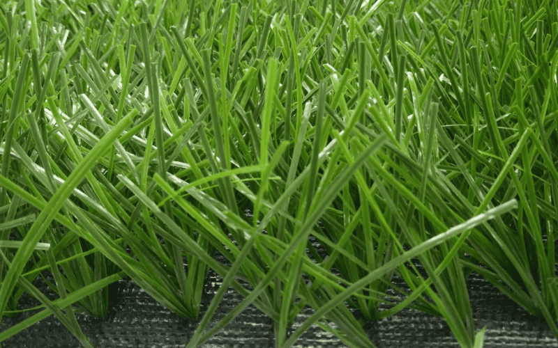 Cricket 4 JC-CT5090L cricket turf