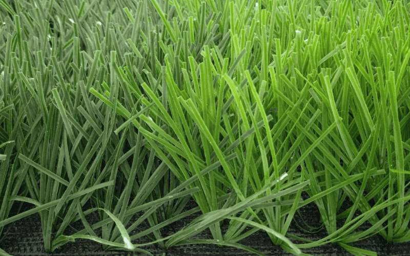 Football 3 JC-FT50880L football turf