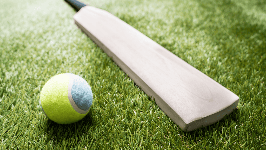 Tennis ball and cricket bat on artificial grass