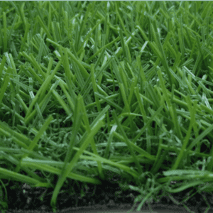 Gym 10 artificial turf gym surface durable synthetic grass for indoor training