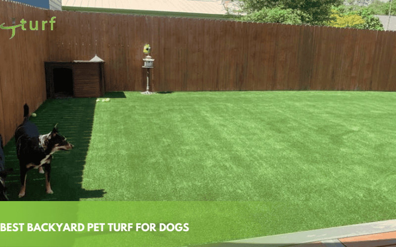 Artificial Turf for Dogs: A Complete Guide for Pet Owners 1 best backyard pet turf for dogs