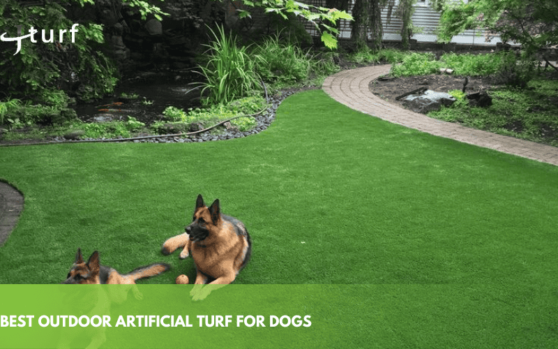 Artificial Turf for Dogs: A Complete Guide for Pet Owners 4 best outdoor artificial turf for dogs