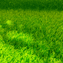 Commercial 1 close up of commercial artificial grass with vibrant green blades designed for durability and low maintenance use