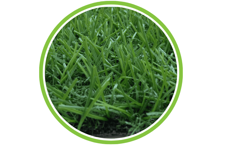 Events 2 close up view of artificial grass fibers for landscape turf