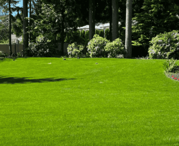 Commercial 8 commercial artificial grass for backyard creating a lush green and low maintenance outdoor space surrounded by trees and flowers