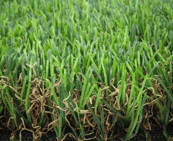 Residential 6 realistic dual tone residential turf with springy texture and support