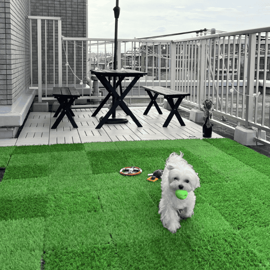 Residential 3 residential artificial grass on balcony low maintenance pet friendly and convenient