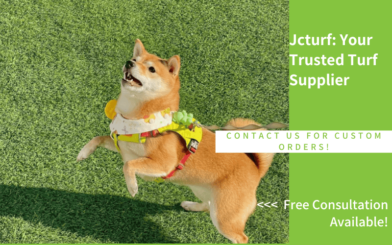 shiba inu dog jumping on synthetic grass outdoor pet turf playful space safe and comfortable for pets