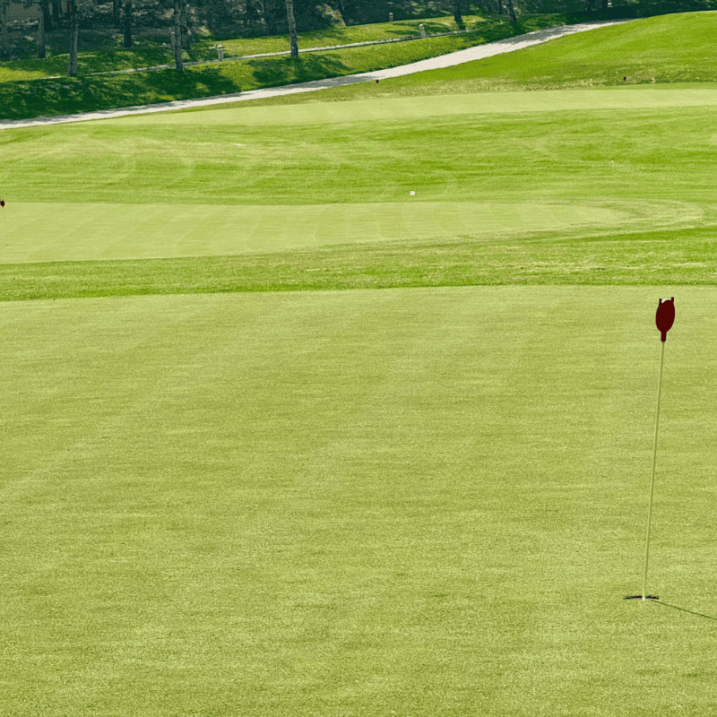 synthetic grass golf course green with flag and smooth turf for professional play in bright sunlight
