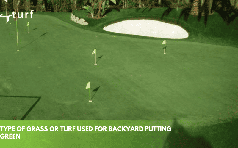 How Much is a Backyard Putting Green? Cost Breakdown 2 type of grass or turf used for backyard putting green