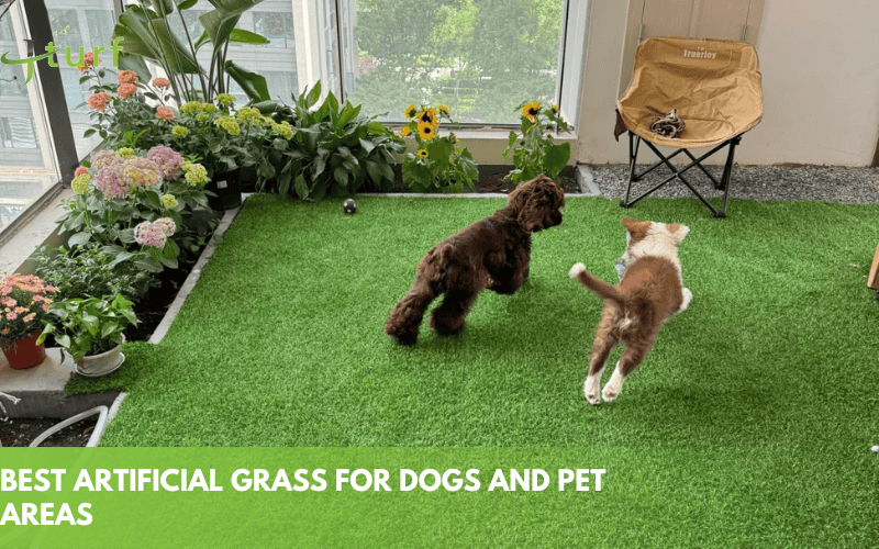 Cómo elegir el mejor césped artificial para cada uso 2 Zona de juegos de césped artificial para mascotas con perro y gato en jardín interior