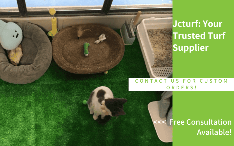 artificial turf for cat play area indoor low maintenance non toxic durable synthetic grass pet friendly