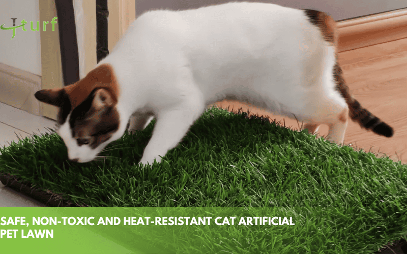 10 Common Questions About Artificial Grass for Cats: What Every Pet Owner Needs to Know 1 artificial turf for pet bathroom mat low maintenance durable synthetic grass for indoor cat use
