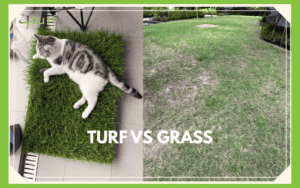 artificial turf vs real grass.