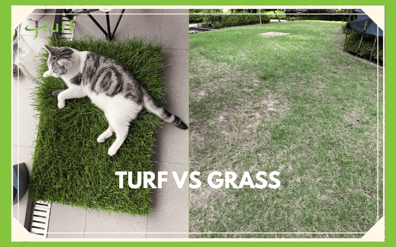artificial turf vs real grass.
