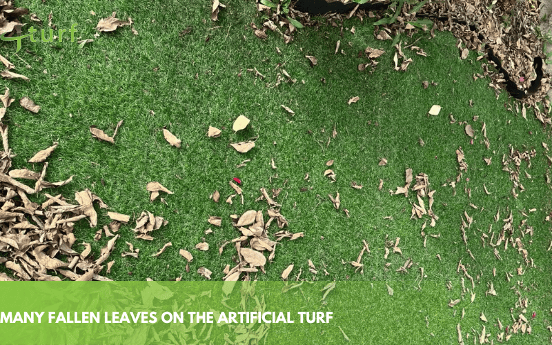 How to Get Rid of Flies on Artificial Grass: Ultimate Solutions to a Bug-Free Lawn 1 many fallen leaves on the artificial turf