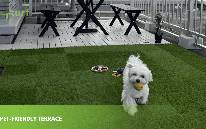 23 Inspiring Fake Grass Patio Ideas for a Beautiful, Low-Maintenance Patio 3 small dog playing with a ball on synthetic turf in a balcony garden with seating area