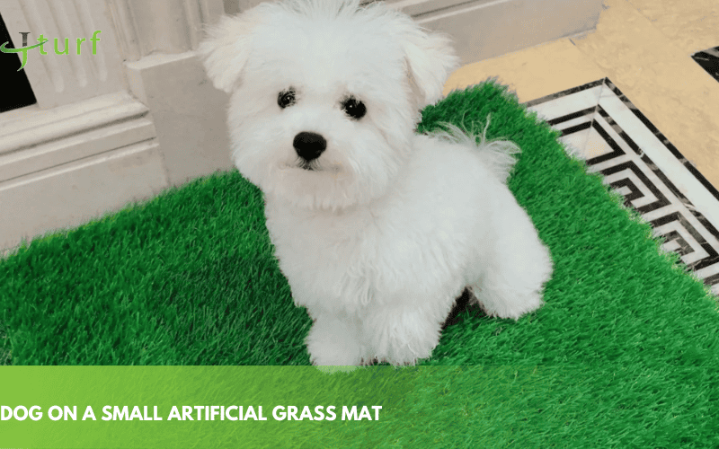 Is Artificial Turf Bad for the Environment? What You Need to Know 2 synthetic grass mat for pets indoor dog area low maintenance