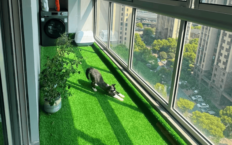 Cat stretching on sunlit balcony covered with artificial grass
