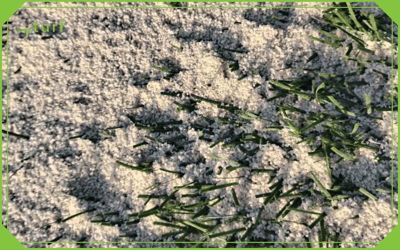 Close-up of artificial grass with silica sand infill used for shock absorption and stability