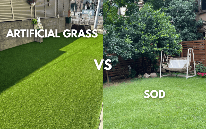 Side by side comparison of artificial grass and natural sod in backyard setting