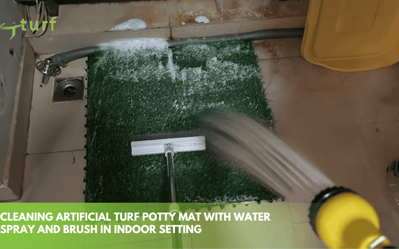 cleaning artificial turf potty mat with water spray and brush in indoor setting