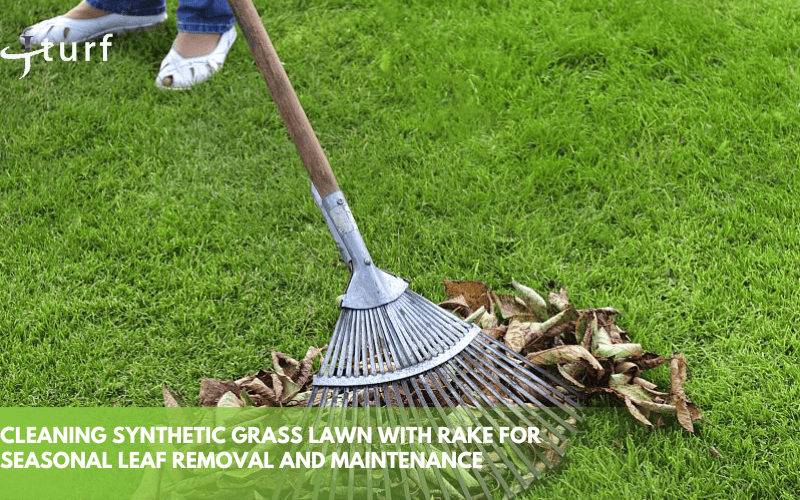 cleaning synthetic grass lawn with rake for seasonal leaf removal and maintenance
