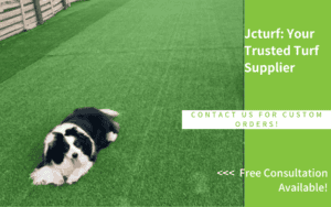dog diarrhea on synthetic grass in a dog park
