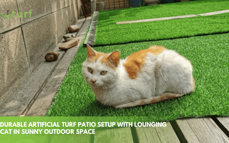 durable artificial turf patio setup with lounging cat in sunny outdoor space