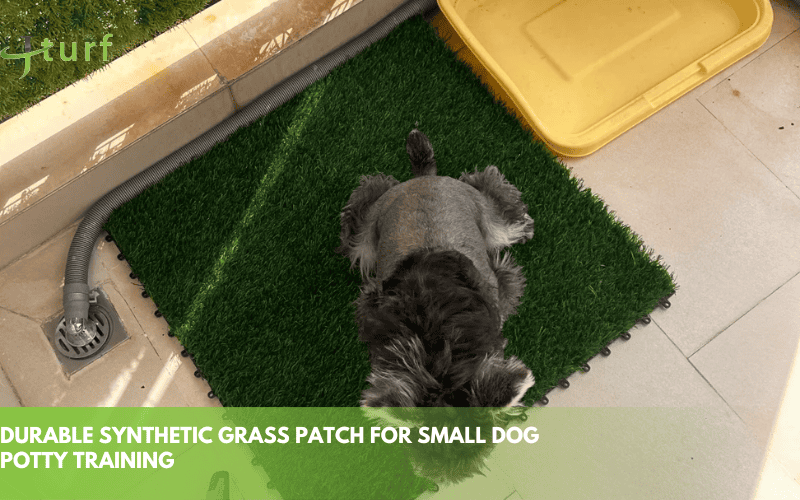 durable synthetic grass patch for small dog potty training