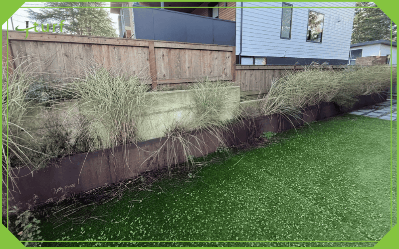 lose up of artificial grass showing unwanted weed growth on the turf