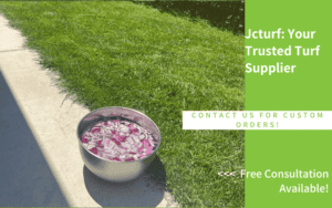 natural grass backyard with stainless bowl on concrete patio