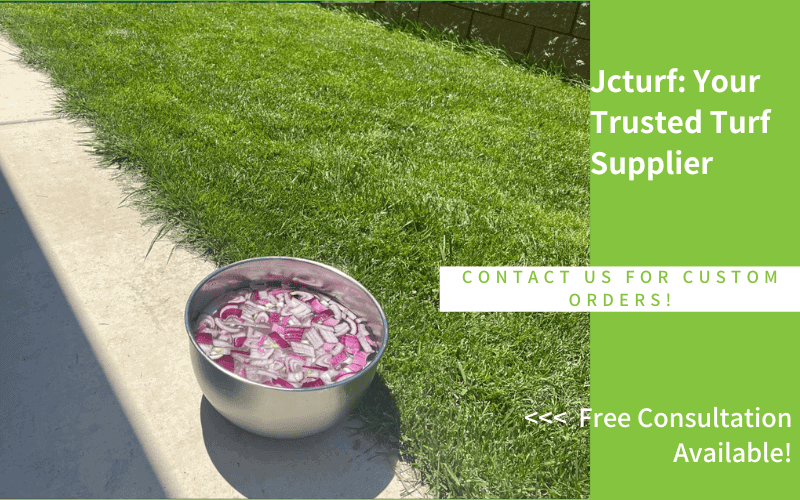 natural grass backyard with stainless bowl on concrete patio
