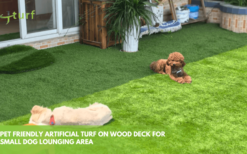 pet friendly artificial turf on wood deck for small dog lounging area