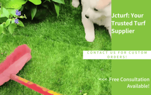 sweeping synthetic grass for pet area maintenance in backyard garden setting