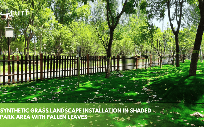 synthetic grass landscape installation in shaded park area with fallen leaves