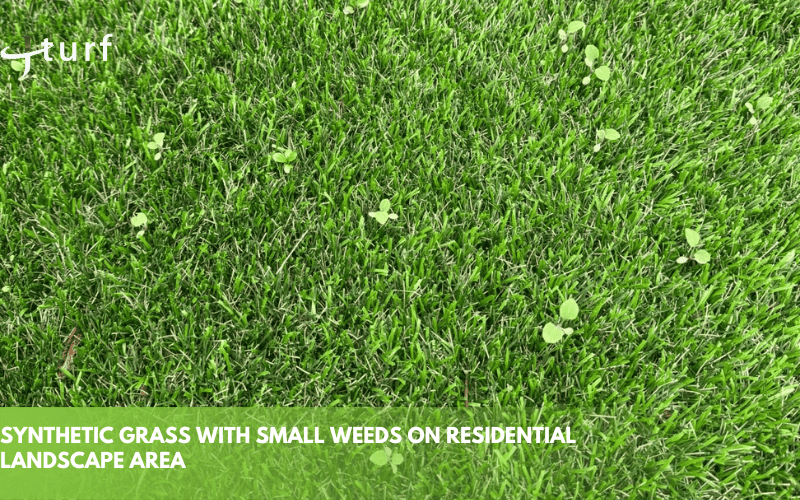 synthetic grass with small weeds on residential landscape area